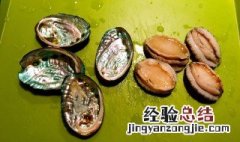 石决明的功效与作用和副作用 石决明的功效与作用