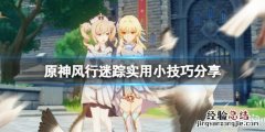 原神风行迷踪有什么技巧 原神风行迷踪开启条件