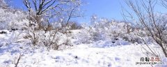 下雪要达到几度 下雪至少要几度