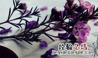 尽职尽责的近义词 尽职尽责的近义词有什么