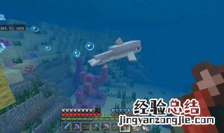 我的世界怎么用指令去掉大海里的水 看完你就明白了