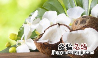 椰子是凉性还是热性 椰子是凉性还是热性的