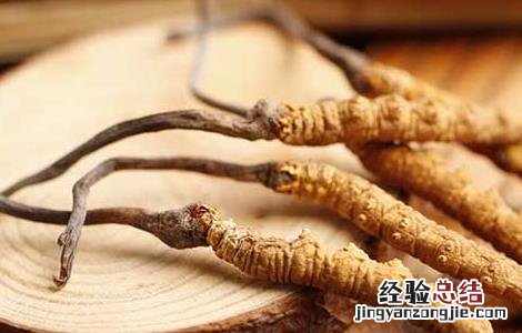孕妇能吃冬虫夏草吗 孕妇能吃冬虫夏草吗初期