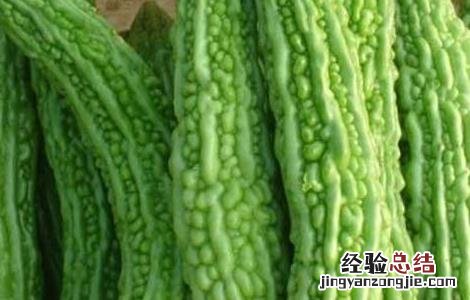 苦瓜变黄了还能吃吗图片 苦瓜变黄了还能吃吗
