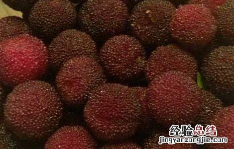 咳嗽可以吃杨梅吗 喉咙痛咳嗽可以吃杨梅吗