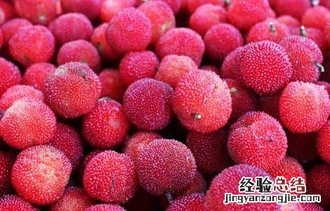 咳嗽可以吃杨梅吗 喉咙痛咳嗽可以吃杨梅吗