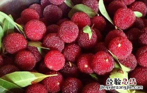 咳嗽可以吃杨梅吗 喉咙痛咳嗽可以吃杨梅吗
