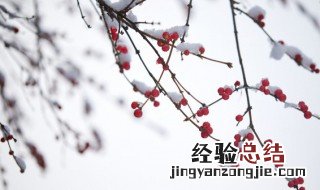 小雪的来历20字 关于小雪的来历20字