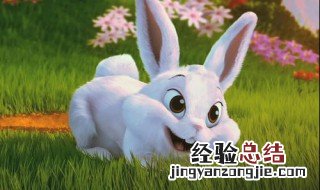 兔子打哈欠代表什么 兔子打哈欠是什么意思