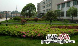 绿化质保多长时间 绿化质保期一般规定为多少年