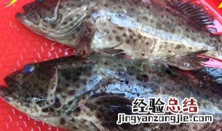 冷冻青石斑鱼怎么做 冷冻石斑鱼做法