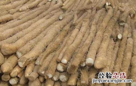 山药可以生吃吗 水果山药可以生吃吗