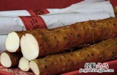 山药可以生吃吗 水果山药可以生吃吗
