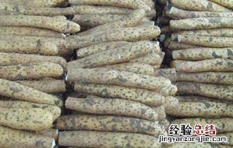 山药和土豆能一起吃吗早餐 山药和土豆能一起吃吗