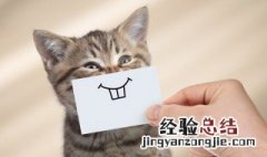 突然降温了的幽默说说图片 突然降温了的幽默说说