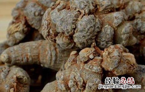 三七有哪些禁忌症 三七有哪些禁忌