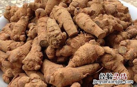 三七有哪些禁忌症 三七有哪些禁忌