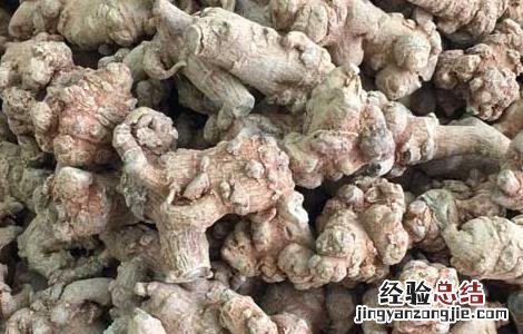 三七有哪些禁忌症 三七有哪些禁忌