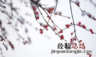 小雪的说说心情短语人生感悟 今日小雪心情说说感悟生活
