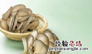海鲜菇汤的家常做法视频 海鲜菇汤的家常做法