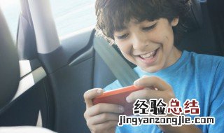 口袋妖怪什么克制飞行系精灵 口袋妖怪什么克制飞行系