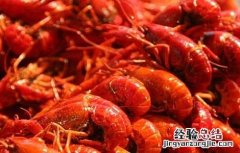 小龙虾的头能吃吗 小龙虾的头能吃吗小龙虾怎么吃
