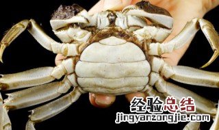 冰冻的大闸蟹可以吃吗怎么解冻 冰冻的大闸蟹可以吃吗