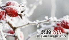 适合冬天冷发的朋友圈句子 适合冬天冷发的朋友圈句子搞笑