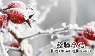 适合冬天冷发的朋友圈句子 适合冬天冷发的朋友圈句子搞笑