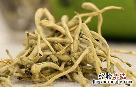 菊花金银花茶孕妇可以喝吗 金银花茶孕妇可以喝吗