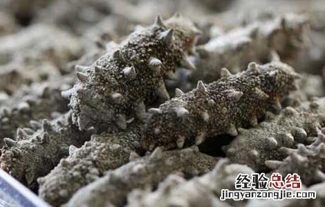 海参不能和什么一起吃香哈 海参不能和什么一起吃