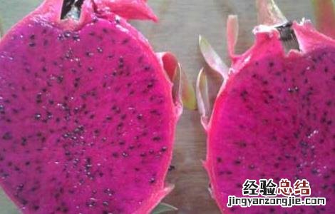火龙果不能和什么同吃 火龙果不能和什么同吃香哈