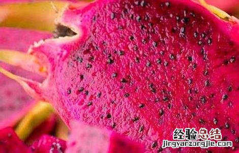 火龙果不能和什么同吃 火龙果不能和什么同吃香哈