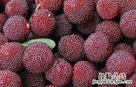 哺乳期可以吃杨梅吗对婴儿有影响吗 哺乳期可以吃杨梅吗