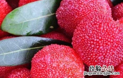 哺乳期可以吃杨梅吗对婴儿有影响吗 哺乳期可以吃杨梅吗