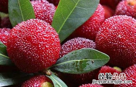 哺乳期可以吃杨梅吗对婴儿有影响吗 哺乳期可以吃杨梅吗