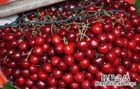 车厘子不能和什么一起吃会中毒 车厘子不能和什么一起吃