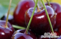 车厘子不能和什么一起吃会中毒 车厘子不能和什么一起吃