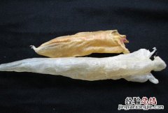 鱼鰾胶 鱼鳔胶的做法