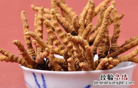 冬虫夏草小孩可以吃吗 冬虫夏草小孩可以吃吗
