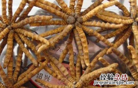 冬虫夏草小孩可以吃吗 冬虫夏草小孩可以吃吗