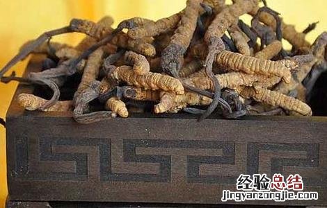 冬虫夏草小孩可以吃吗 冬虫夏草小孩可以吃吗