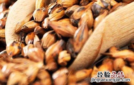 大麦茶的功效与禁忌 大麦茶的功效与禁忌孕妇