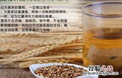 大麦茶的功效与禁忌 大麦茶的功效与禁忌孕妇