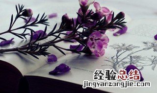 掌上明珠的意思 掌上明珠的解释