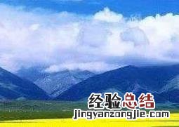 紫油菜花的功效与作用 紫油菜花的功效与作用图片