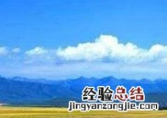 紫油菜花的功效与作用 紫油菜花的功效与作用图片