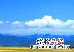 紫油菜花的功效与作用 紫油菜花的功效与作用图片