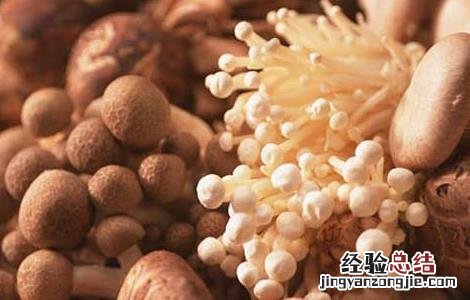 蘑菇不能和什么一起吃 蘑菇不能和什么一起吃 食物相克表