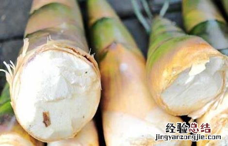 泡椒竹笋不能和什么一起吃 竹笋不能和什么一起吃